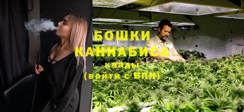 Шишки марихуана Ganja  Кузнецк 